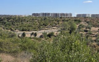 Lama Balice Parco Naturale (11)