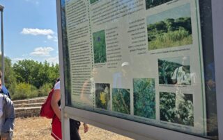 Lama Balice Parco Naturale (20)